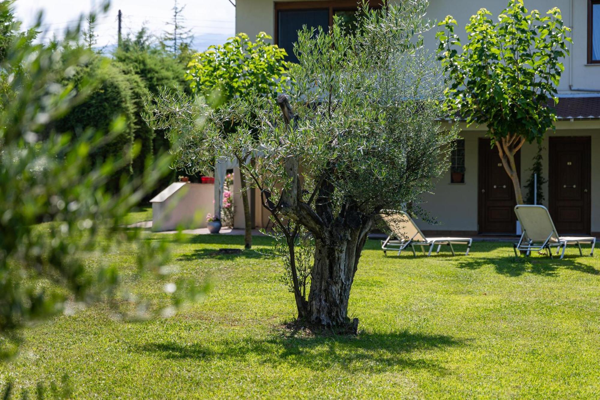 The Olympus Garden Beach House Litochoro Exterior foto